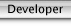 Developer.